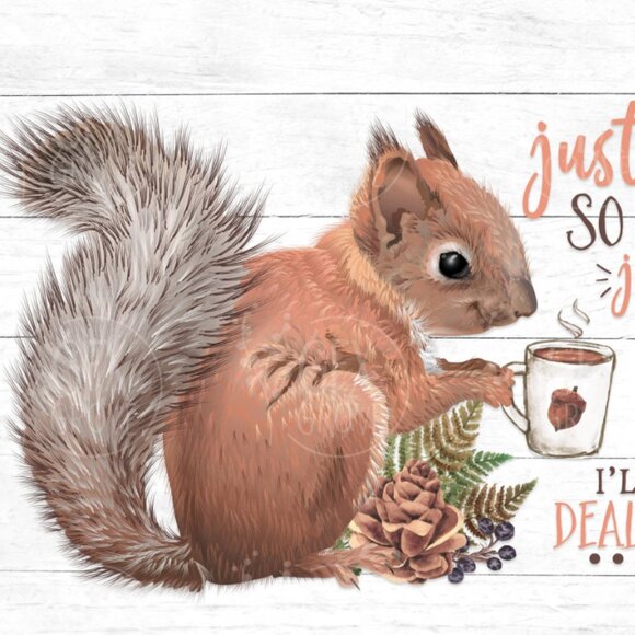 Other - Wax Jelly Melt - Creamsicle